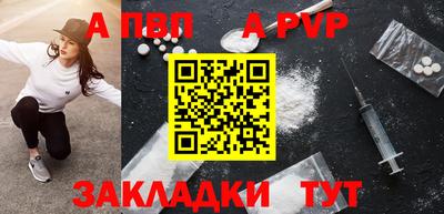 молекула духа Кингисепп