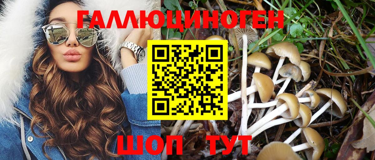 Псилоцибиновые грибы мицелий Киров