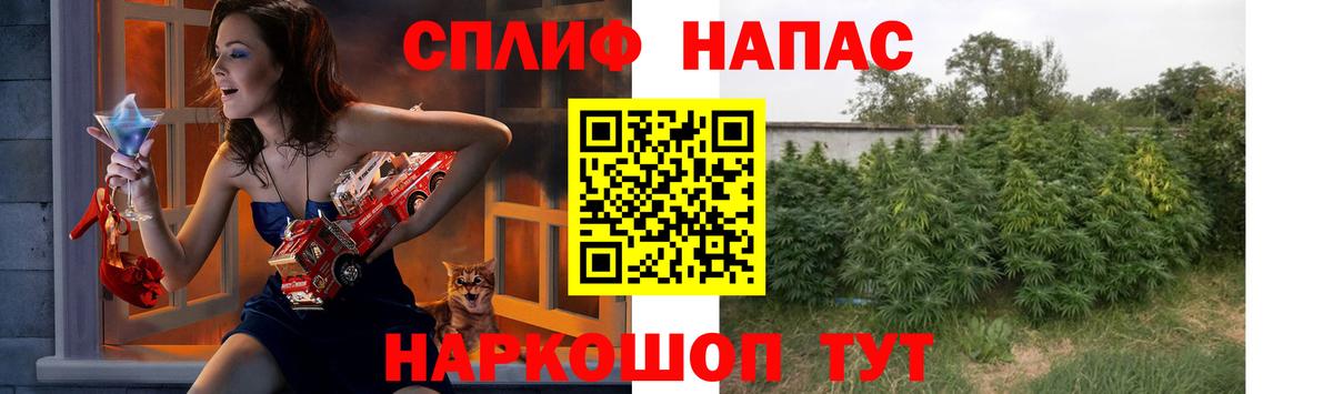 Конопля планчик  Каннабис тримм  Марихуана MAZAR  Киров  Вход с VPN 